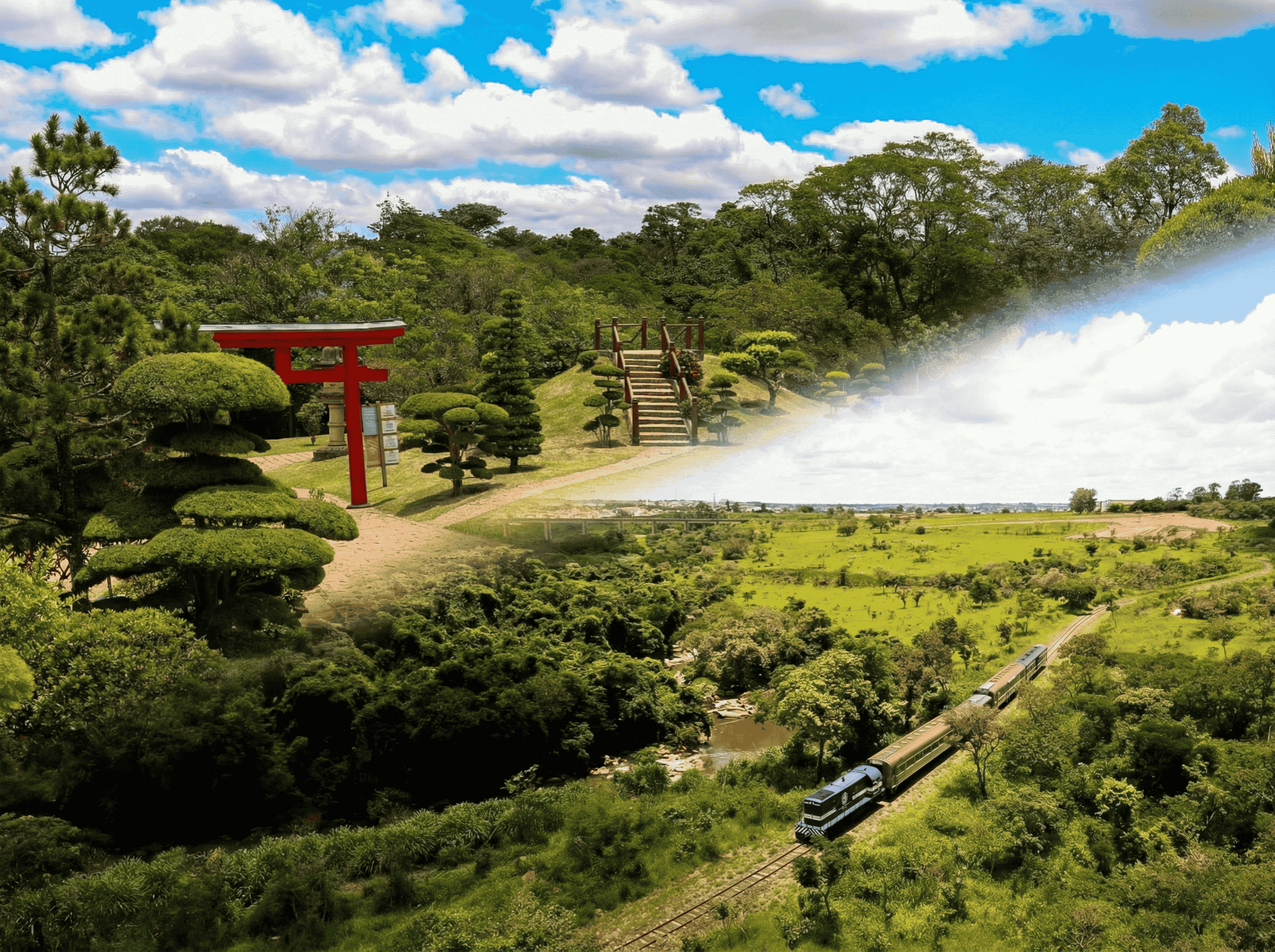 Passeio de Trem com Parque Maeda + Almoço